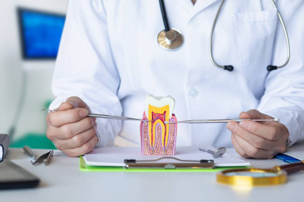 Best Emergency Orthodontic Services in Sesser, IL